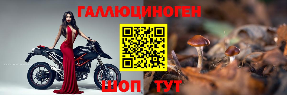 Псилоцибиновые грибы ЛСД Кировск