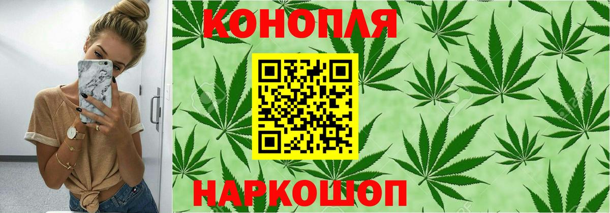 Конопля Bruce Banner Кировск